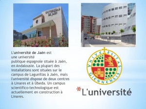 La province de Jaén. Loli Quesada Gallego PDFpdf-7